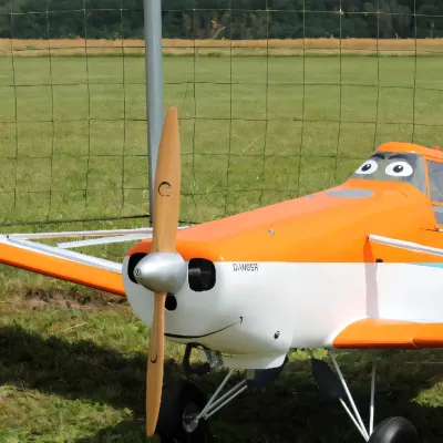 Flugtage 30 Jahre Mfc Barbara Anna 260 20160726 1270667298